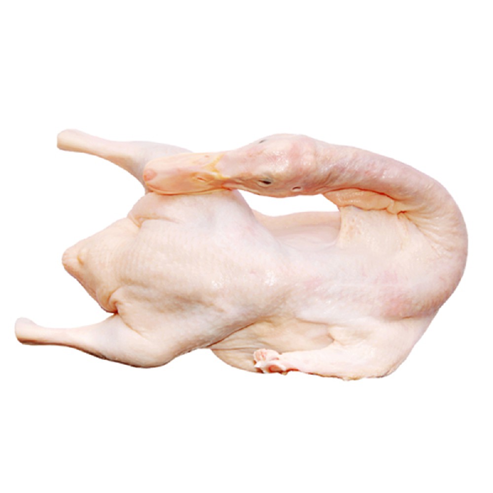 Frozen Whole Duck