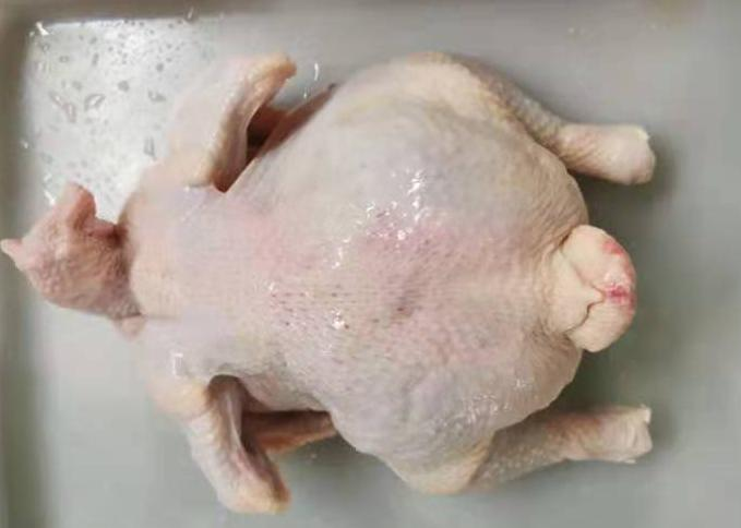 Frozen Whole Chicken